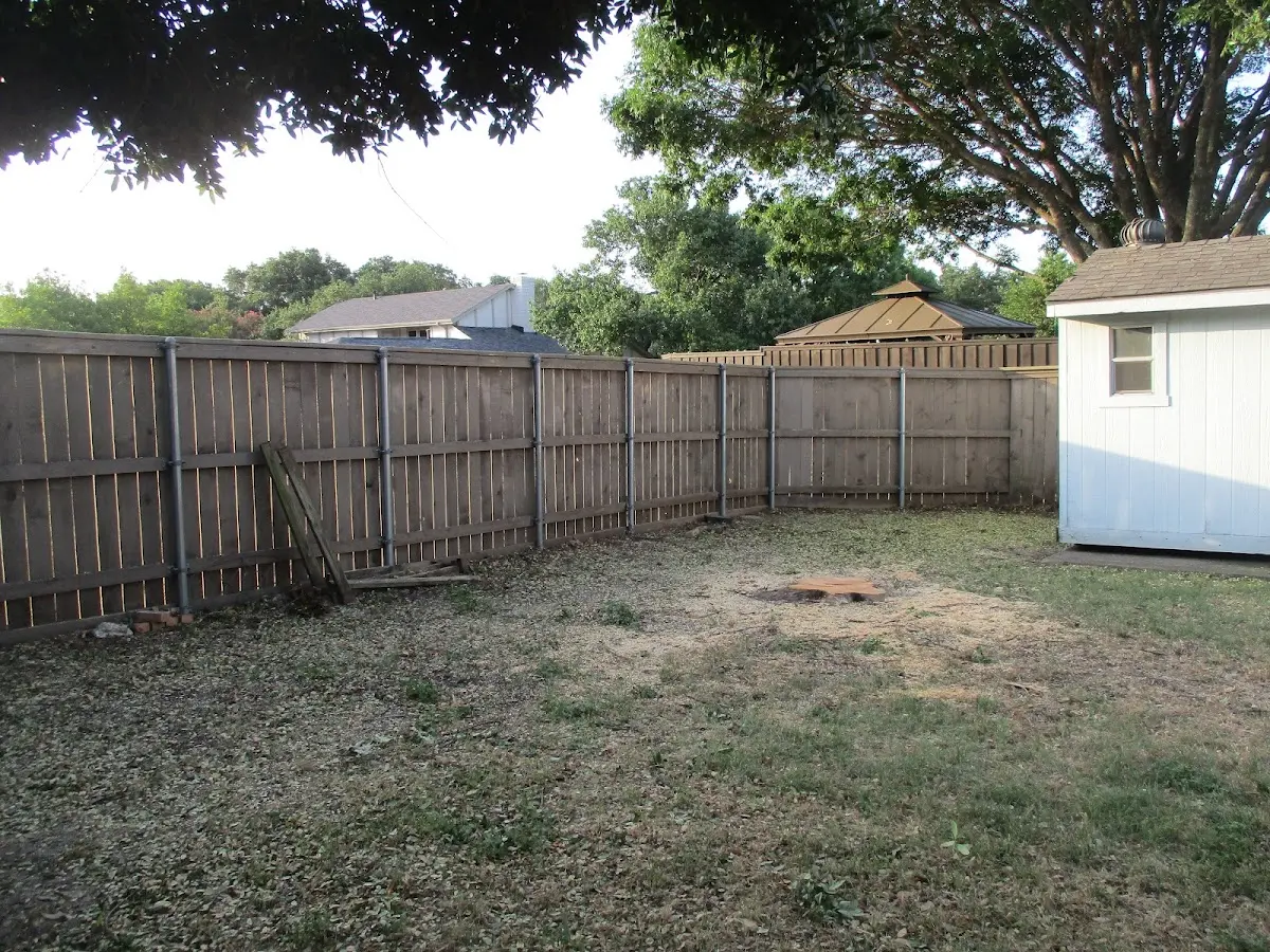 Cleared yard after professional tree removal in Dillwyn